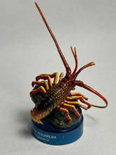 Cargar imagen en el visor de la galería, Japanese Spiny Lobster - Figure - Bottle Cap
