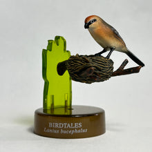 Cargar imagen en el visor de la galería, Bull-headed Shrike (Lanius bucephalus) - Mini Figure - Bottle Cap
