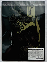 Load image into Gallery viewer, Identity V Summer Festival Collection [II] ~Survivor Male Edition~ (D-6) - A4 Clear File Set of 2
