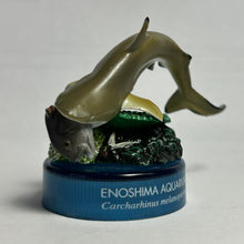 Cargar imagen en el visor de la galería, Blacktip reef shark / Carcharhinus melanopterus - Trading Figure - Miniature
