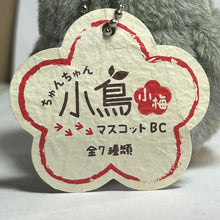 Cargar imagen en el visor de la galería, Chun Chun Little Bird BC Mascot - Owl
