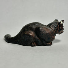 Load image into Gallery viewer, Iriomote Cat - Trading Figure - Miniature (019)
