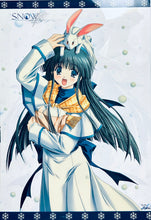 Cargar imagen en el visor de la galería, Snow Clear Poster Set (4 Pcs)
