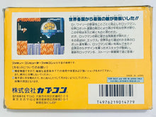 Load image into Gallery viewer, RockMan 6: Shijou Saidai no Tatakai!! - Famicom - Family Computer FC - Nintendo - Japan Ver. - NTSC-JP - CIB (CAP-6V)
