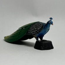 Cargar imagen en el visor de la galería, Indian peafowl - Trading Figure - Miniature (02)

