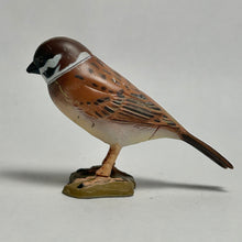 Cargar imagen en el visor de la galería, Tree Sparrow - Trading Figure - Miniature (167)
