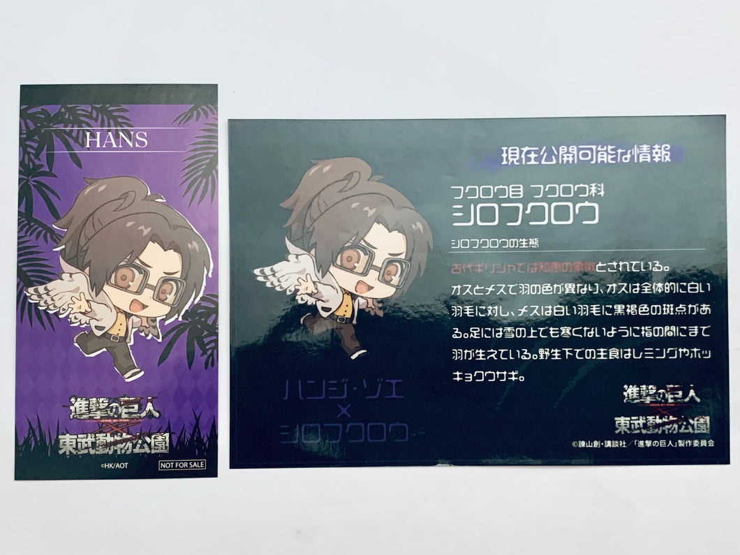 Shingeki no Kyojin - Hange Zoe x Snowy Owl - Bromide & Sticker