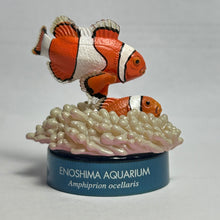 Cargar imagen en el visor de la galería, Clownfish / Amphiprion ocellaris - Trading Figure - Miniature
