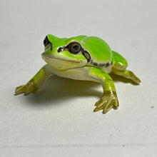 Load image into Gallery viewer, Japanese Tree Frog - Trading Figure - Miniature - 018C
