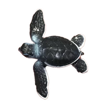 Load image into Gallery viewer, Baby green sea turtle (Chelonia mydas) - Figure - Miniature

