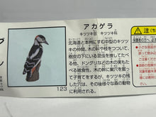 Load image into Gallery viewer, Great spotted woodpecker - Trading Figure - Miniature (123)
