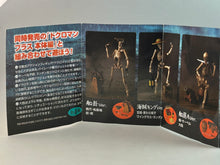 Load image into Gallery viewer, Capsule Q Museum Skull Man Plus Pirate Edition - Captain ver.
