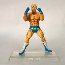 Load image into Gallery viewer, Kinnikuman - Terryman - Trading Figure (2nd Color)
