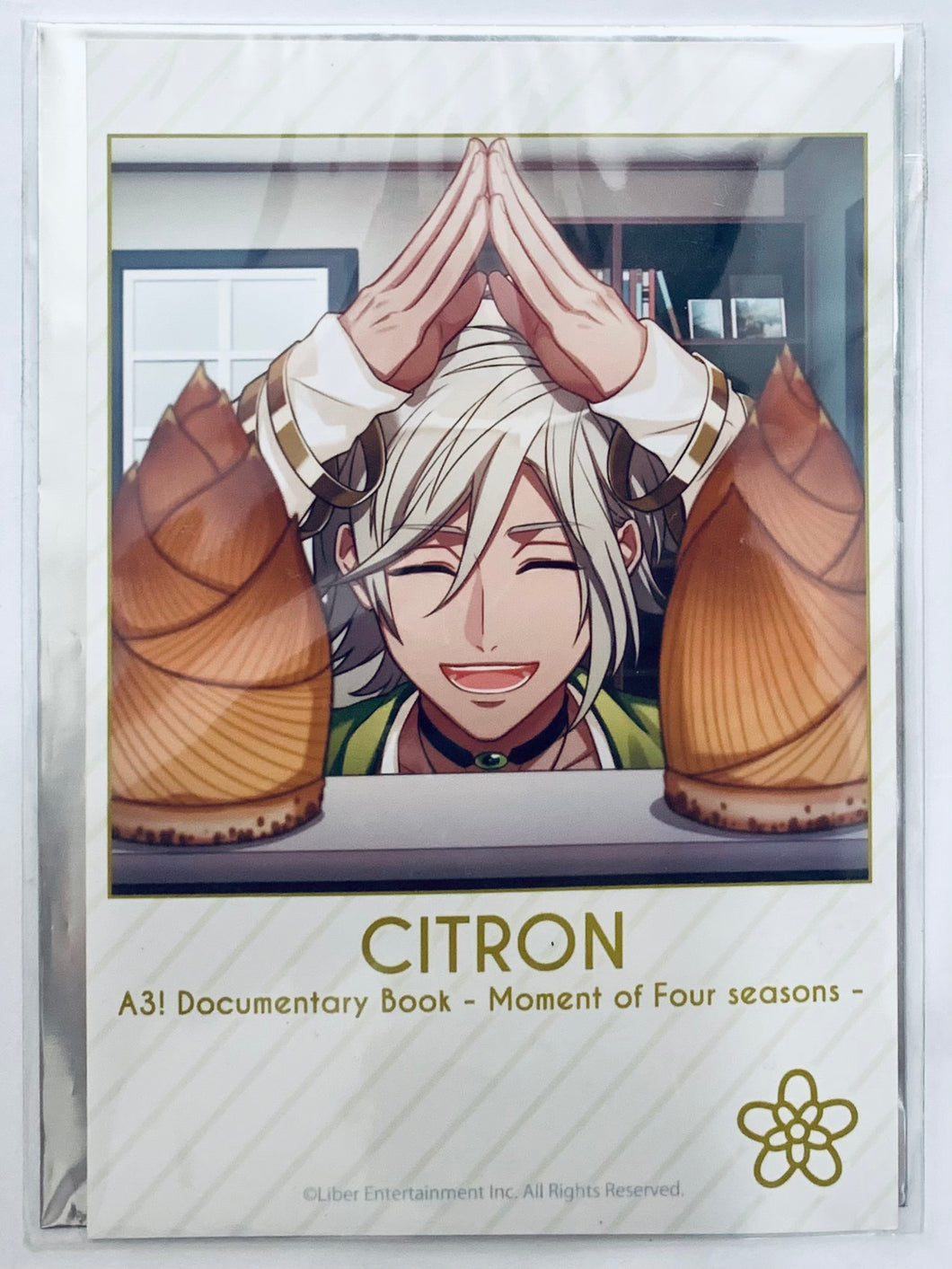 A3! - Citron - Documentary Book Publication Commemoration Fair Moment of Four Seasons Trading Bromide