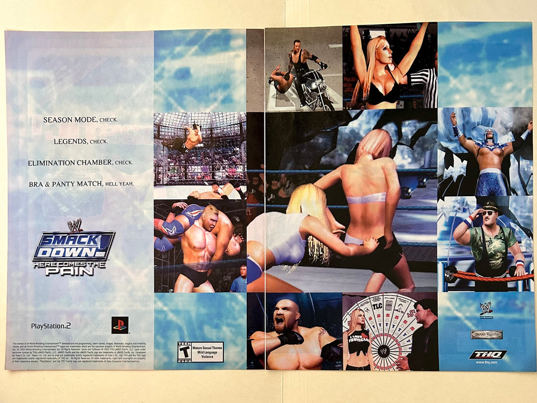 WWE SmackDown! Here Comes the Pain - PS2 - Original Vintage Advertisement - Print Ads - Laminated A3 Poster