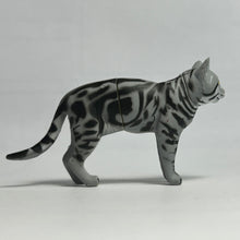 Cargar imagen en el visor de la galería, American Shorthair - Trading Figure - Miniature - 006

