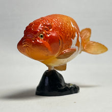 Cargar imagen en el visor de la galería, Ranchu - Trading Figure - Miniature - 020 P10-B
