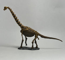 Cargar imagen en el visor de la galería, Brachiosaurus - Trading Figure - Miniature (028)
