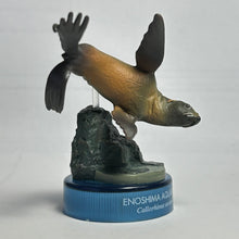 Cargar imagen en el visor de la galería, Northern fur seal / Callorhinus ursinus - Trading Figure - Miniature
