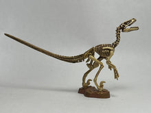 Load image into Gallery viewer, Deinonychus - Trading Figure - Miniature (050)
