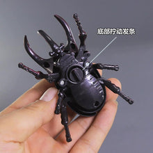 Cargar imagen en el visor de la galería, Bettle Wind-up Toy - Figure
