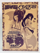 Load image into Gallery viewer, Highschool DxD - Himejima Akeno - Trading Figure - Micro Bikini ver.a
