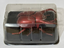 Cargar imagen en el visor de la galería, Bettle Wind-up Toy - Figure
