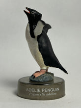Cargar imagen en el visor de la galería, Adélie Penguin - Trading Figure - Miniature - Cuchiwaii
