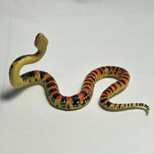Cargar imagen en el visor de la galería, Akamata snake - Trading Figure - Miniature - 165 - Cuchiwaii
