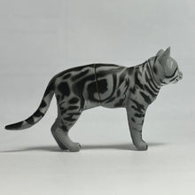 Load image into Gallery viewer, American Shorthair - Trading Figure - Miniature - 006 - Cuchiwaii
