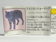 Load image into Gallery viewer, American Shorthair - Trading Figure - Miniature - 006 - Cuchiwaii
