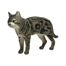 Load image into Gallery viewer, American Shorthair - Trading Figure - Miniature - 007 - Cuchiwaii
