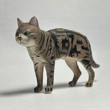 Cargar imagen en el visor de la galería, American Shorthair - Trading Figure - Miniature - 007 - Cuchiwaii
