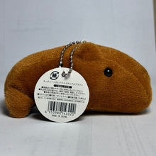 Cargar imagen en el visor de la galería, Animal Keychain - Capybara - Keychain Mascot M - Brown - Cuchiwaii
