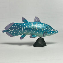 Load image into Gallery viewer, Axelrodichthys - Trading Figure - Miniature (015) - Cuchiwaii
