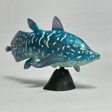 Load image into Gallery viewer, Axelrodichthys - Trading Figure - Miniature (015) - Cuchiwaii

