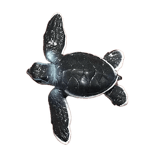 Cargar imagen en el visor de la galería, Baby green sea turtle (Chelonia mydas) - Figure - Miniature - Cuchiwaii

