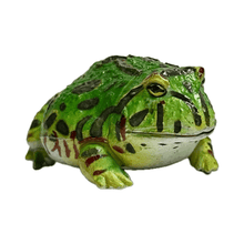 Load image into Gallery viewer, Bell's Horned Frog - Trading Figure - Miniature - 039 P20-A - Cuchiwaii
