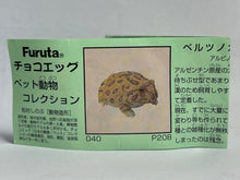 Load image into Gallery viewer, Bell's Horned Frog - Trading Figure - Miniature - 40 P20-B - Cuchiwaii
