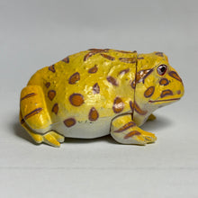 Load image into Gallery viewer, Bell's Horned Frog - Trading Figure - Miniature - 40 P20-B - Cuchiwaii
