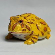 Load image into Gallery viewer, Bell's Horned Frog - Trading Figure - Miniature - 40 P20-B - Cuchiwaii
