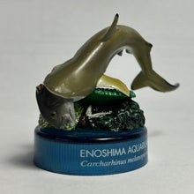 Load image into Gallery viewer, Blacktip reef shark / Carcharhinus melanopterus - Trading Figure - Miniature - Cuchiwaii
