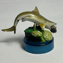 Load image into Gallery viewer, Blacktip reef shark / Carcharhinus melanopterus - Trading Figure - Miniature - Cuchiwaii
