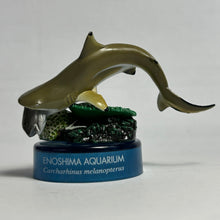 Load image into Gallery viewer, Blacktip reef shark / Carcharhinus melanopterus - Trading Figure - Miniature - Cuchiwaii
