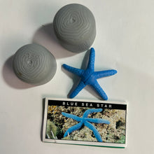 Cargar imagen en el visor de la galería, Blue Sea Star - Trading Figure - Miniature - Cuchiwaii
