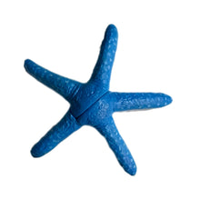 Cargar imagen en el visor de la galería, Blue Sea Star - Trading Figure - Miniature - Cuchiwaii
