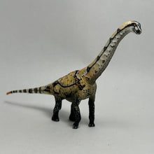 Cargar imagen en el visor de la galería, Brachiosaurus - Trading Figure - Miniature (027) - Cuchiwaii
