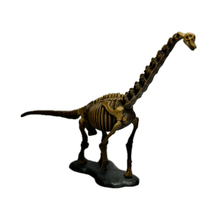 Cargar imagen en el visor de la galería, Brachiosaurus - Trading Figure - Miniature (028) - Cuchiwaii
