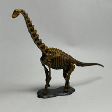 Cargar imagen en el visor de la galería, Brachiosaurus - Trading Figure - Miniature (028) - Cuchiwaii
