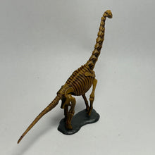 Cargar imagen en el visor de la galería, Brachiosaurus - Trading Figure - Miniature (028) - Cuchiwaii
